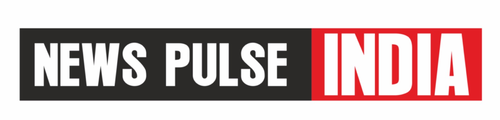 News Pluse India logo