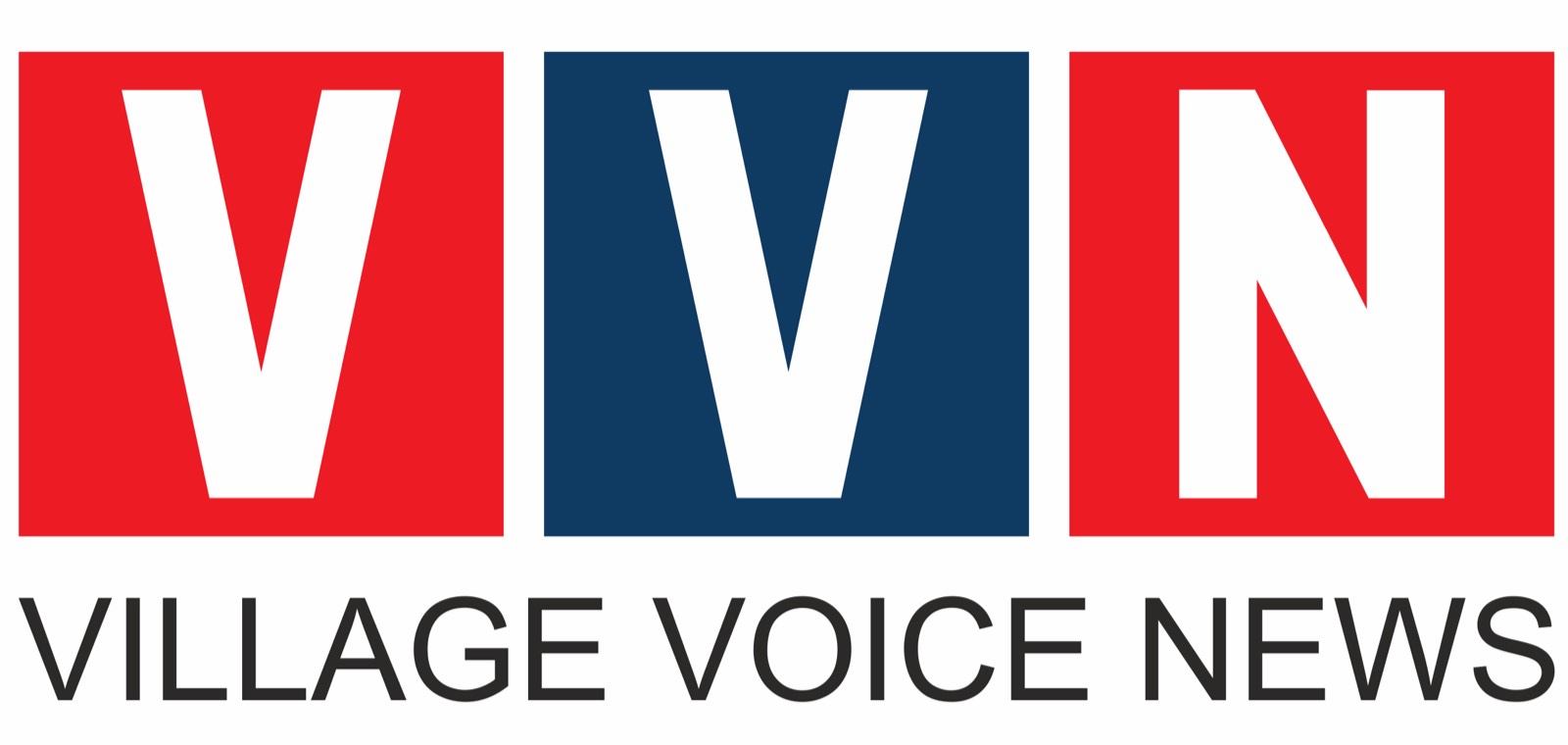 Village voice news logo